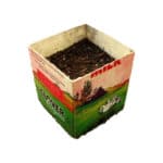 empty carton used for small planter