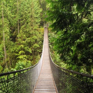 photo of Lynn Canyon suspension bridge in District of North Vancouver