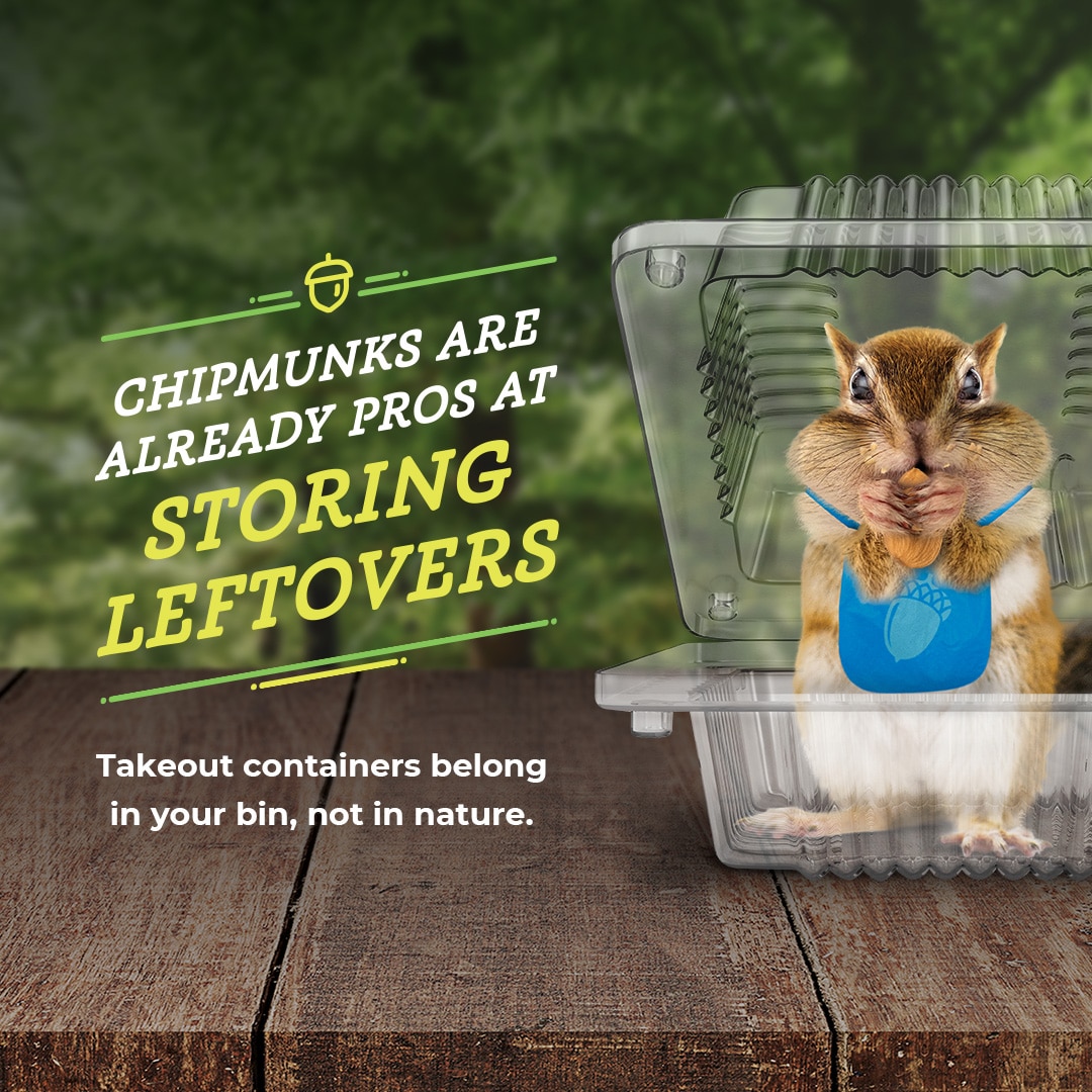 Chipmunk in plastic clam shell container text reads take out containers belong in your bin not in nature