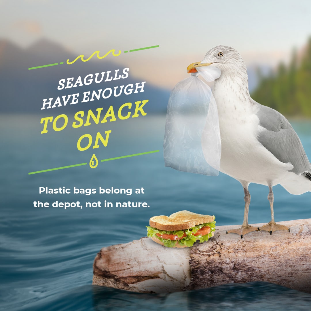 Seagull holding plastic bag in its mouth with text reading seagulls have enough to snack on plastic bags belong at the depot not in nature