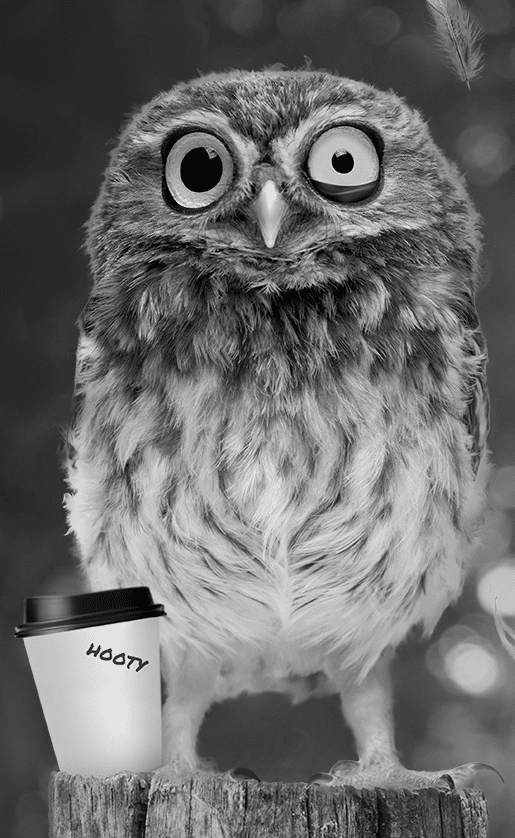 Photo of Hooty an owl with a coffee cup