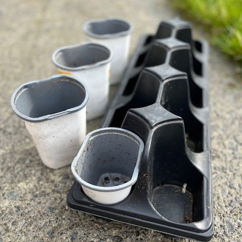 Plastic plant pots and trays