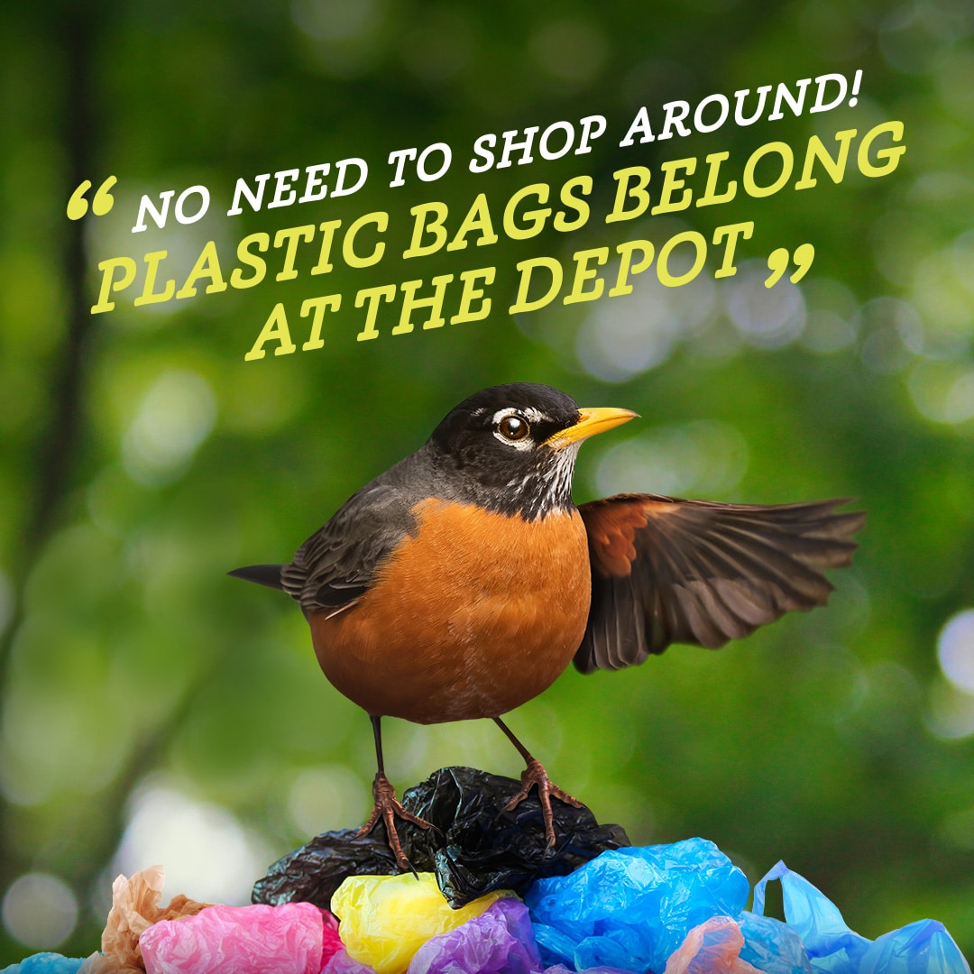 Photo shopped image of robin on pile of plastic bags